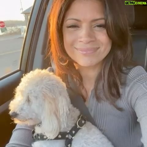 Andrea Navedo Instagram - The other day I took a moment to just pause and enjoy the glow of the sun setting. How beautiful is this? #littlethings #deartheo #pupsofinstagram #dogmom #life #sunsets #gooddays #takeamoment #peace #joy #happyfriday 🌅