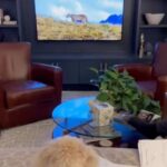 Andrea Navedo Instagram - Can you tell this is a TV house?? 😂 My fur baby is so focused! #deartheo 🐶 😂 #dogmom #dogsofinstagram #doglife