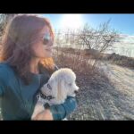 Andrea Navedo Instagram – Theo and I enjoying this 67° weather! I can’t believe how warm it is. It feels so good. Happy Sunday everyone! 

#happysunday #globalwarming #sunshine #deartheo