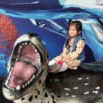 Andrea Torres Instagram -