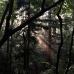Angelina Danilova Instagram – where else wood I be?