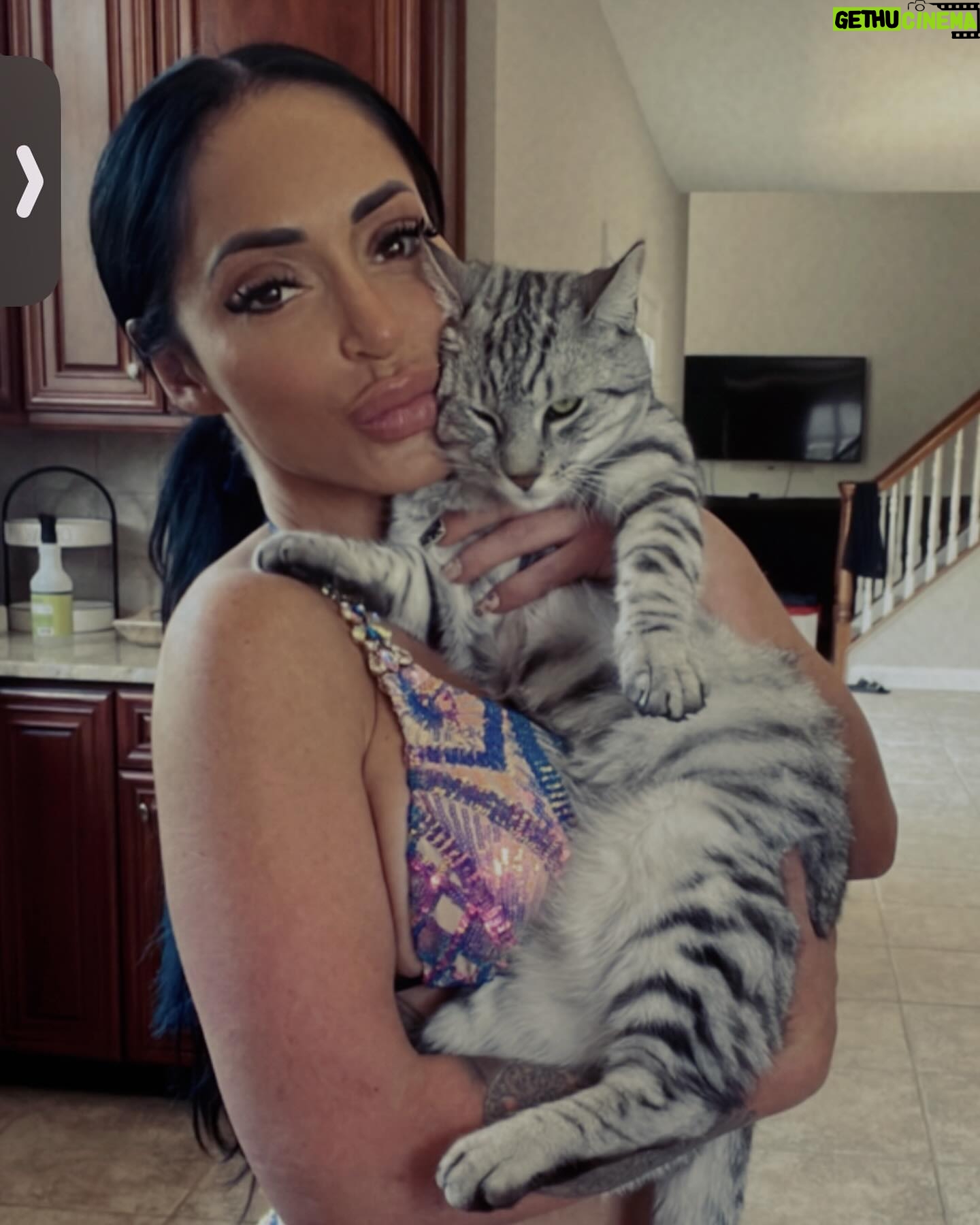 Angelina Pivarnick Instagram - Two cuties. Had to share. Love your pets. They are the best loves you will ever know. Trust them
