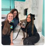 Angelina Pivarnick Instagram - This is DJ! He’s about 2 years old and 50 lbs. he was found dumped on the side of a highway in ocean county. He loves people! He’s housebroken, knows commands and is a dream to walk Please dm @shoresaves to adopt this baby. He desperately needs a home and a good life. Let’s all help animals in need. ❤️🐶❤️🙏