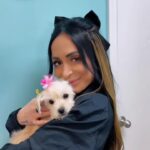 Angelina Pivarnick Instagram - Thank you to everyone who came out to support these amazing local shelters & organizations yesterday 🐾✨ we helped raise money for a cause that’s so so important to me 🐶 finding these babies their forever homes! 🏡 ✨ @shoresaves ✨ @pittiesandpalsrescuenj ✨ @3hearts4paws ✨ @bullyrescuenj ✨ @pahs_1933