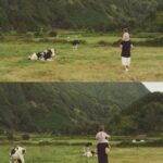 Angie Costa Instagram - 🐄