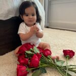 Anjelah Johnson-Reyes Instagram - These photoshoots are getting harder to do with a moving baby! Rosie you are the best birthday gift I never knew I needed. Mama and Dadada love you so much. #rosieharlowreyes