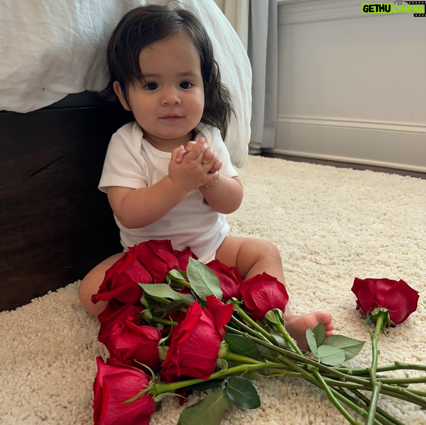 Anjelah Johnson-Reyes Instagram - These photoshoots are getting harder to do with a moving baby! Rosie you are the best birthday gift I never knew I needed. Mama and Dadada love you so much. #rosieharlowreyes