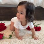 Anjelah Johnson-Reyes Instagram - These photoshoots are getting harder to do with a moving baby! Rosie you are the best birthday gift I never knew I needed. Mama and Dadada love you so much. #rosieharlowreyes