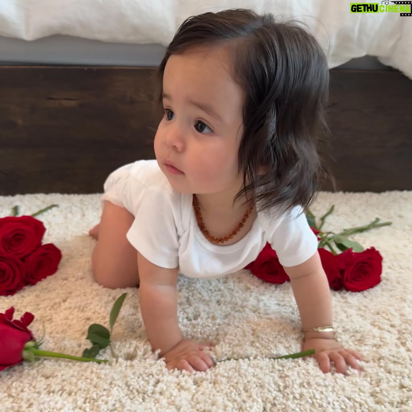 Anjelah Johnson-Reyes Instagram - These photoshoots are getting harder to do with a moving baby! Rosie you are the best birthday gift I never knew I needed. Mama and Dadada love you so much. #rosieharlowreyes