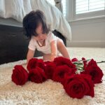 Anjelah Johnson-Reyes Instagram - These photoshoots are getting harder to do with a moving baby! Rosie you are the best birthday gift I never knew I needed. Mama and Dadada love you so much. #rosieharlowreyes