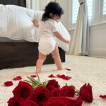 Anjelah Johnson-Reyes Instagram - These photoshoots are getting harder to do with a moving baby! Rosie you are the best birthday gift I never knew I needed. Mama and Dadada love you so much. #rosieharlowreyes