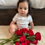 Anjelah Johnson-Reyes Instagram - These photoshoots are getting harder to do with a moving baby! Rosie you are the best birthday gift I never knew I needed. Mama and Dadada love you so much. #rosieharlowreyes