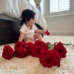 Anjelah Johnson-Reyes Instagram - These photoshoots are getting harder to do with a moving baby! Rosie you are the best birthday gift I never knew I needed. Mama and Dadada love you so much. #rosieharlowreyes