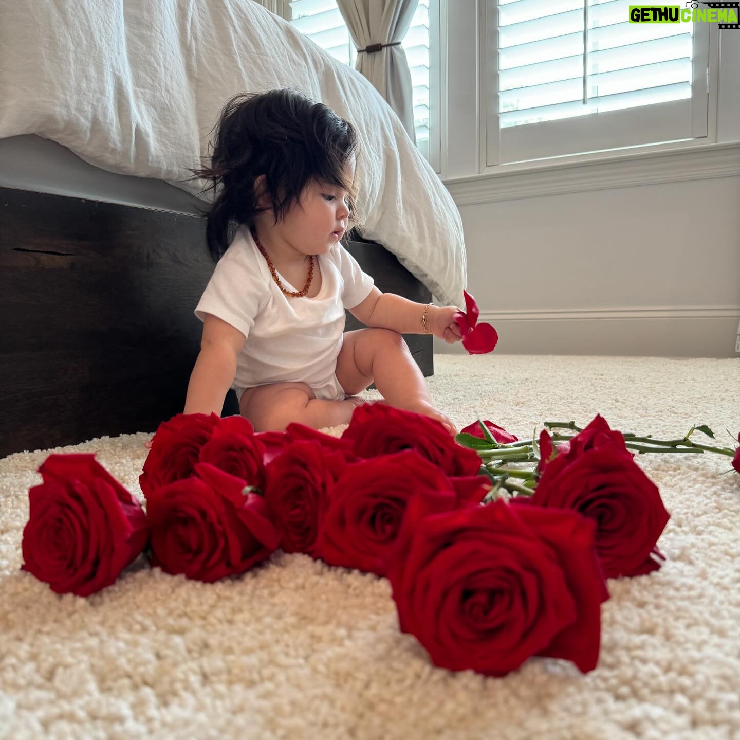Anjelah Johnson-Reyes Instagram - These photoshoots are getting harder to do with a moving baby! Rosie you are the best birthday gift I never knew I needed. Mama and Dadada love you so much. #rosieharlowreyes