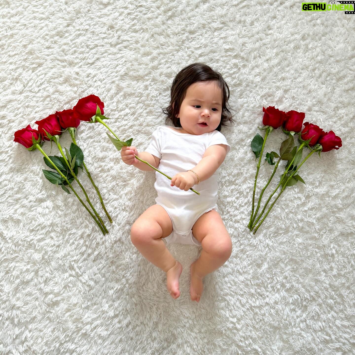 Anjelah Johnson-Reyes Instagram - Our most favorite valentine #rosieharlowreyes 1. You started crawling 2. You love giving besitos 3. I caught you standing in your crib the other day 🥹 4. You love your voice (at the highest volume) 5. Your new favorite song is @marcanthony “Vivir Mi Vida” 6. You love bell pepper 7. You learned you only like the car for 20 minutes max 8. You get as hype as Hulk Hogan for so many things and we love it (see last slide)
