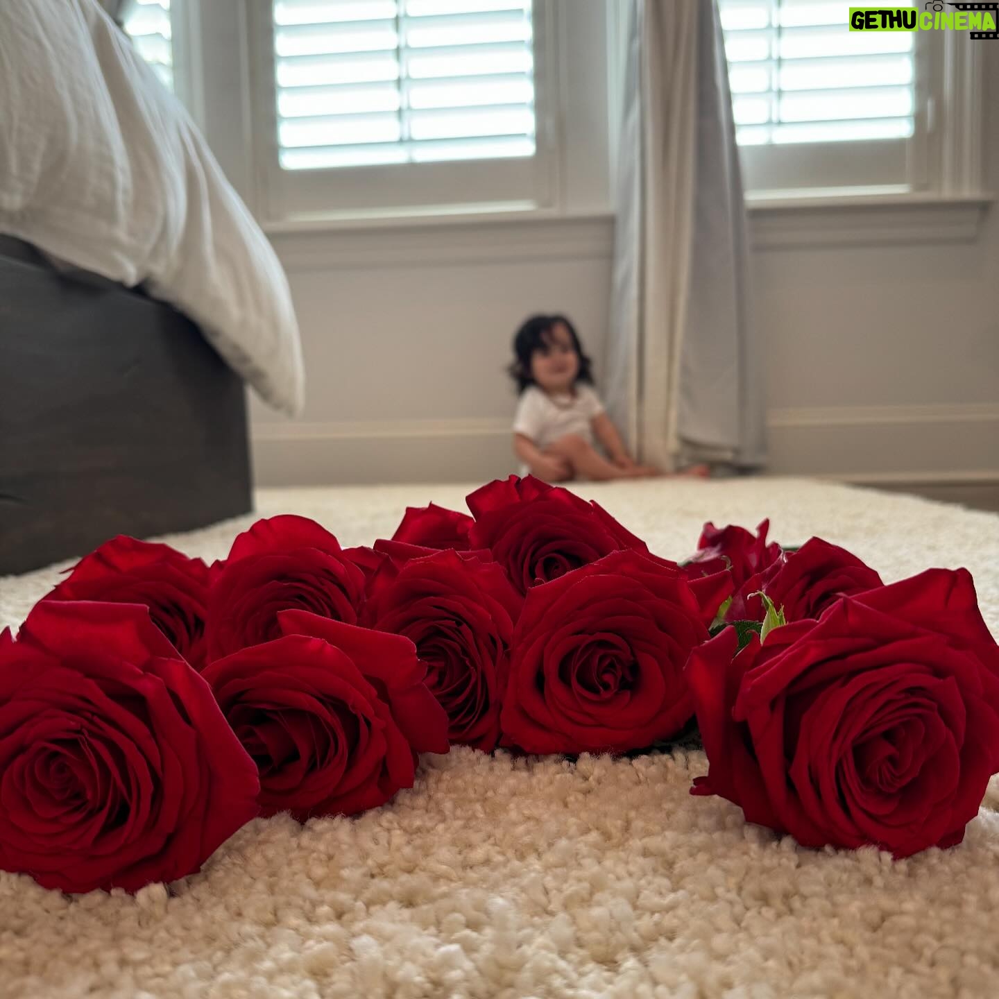 Anjelah Johnson-Reyes Instagram - These photoshoots are getting harder to do with a moving baby! Rosie you are the best birthday gift I never knew I needed. Mama and Dadada love you so much. #rosieharlowreyes