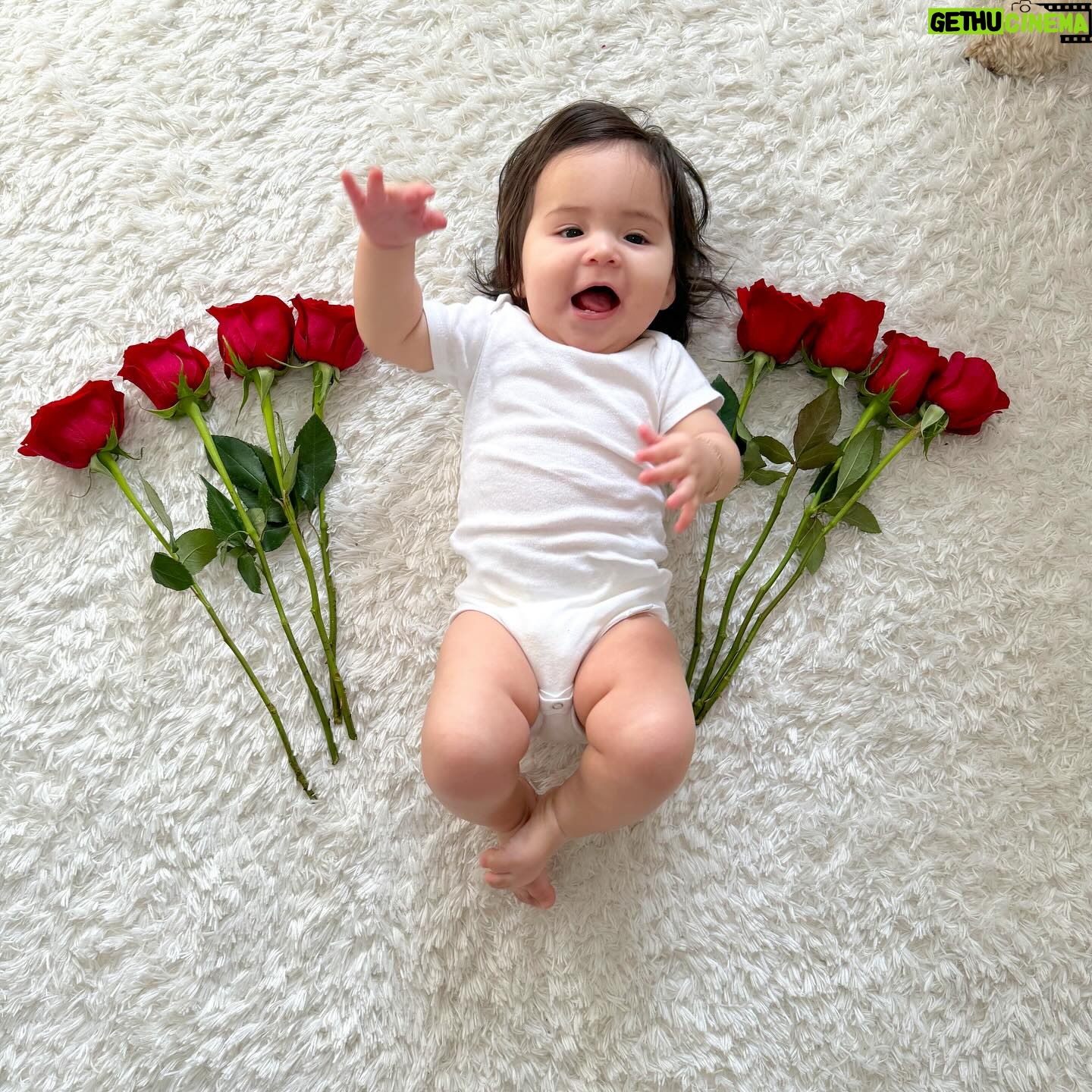 Anjelah Johnson-Reyes Instagram - Our most favorite valentine #rosieharlowreyes 1. You started crawling 2. You love giving besitos 3. I caught you standing in your crib the other day 🥹 4. You love your voice (at the highest volume) 5. Your new favorite song is @marcanthony “Vivir Mi Vida” 6. You love bell pepper 7. You learned you only like the car for 20 minutes max 8. You get as hype as Hulk Hogan for so many things and we love it (see last slide)
