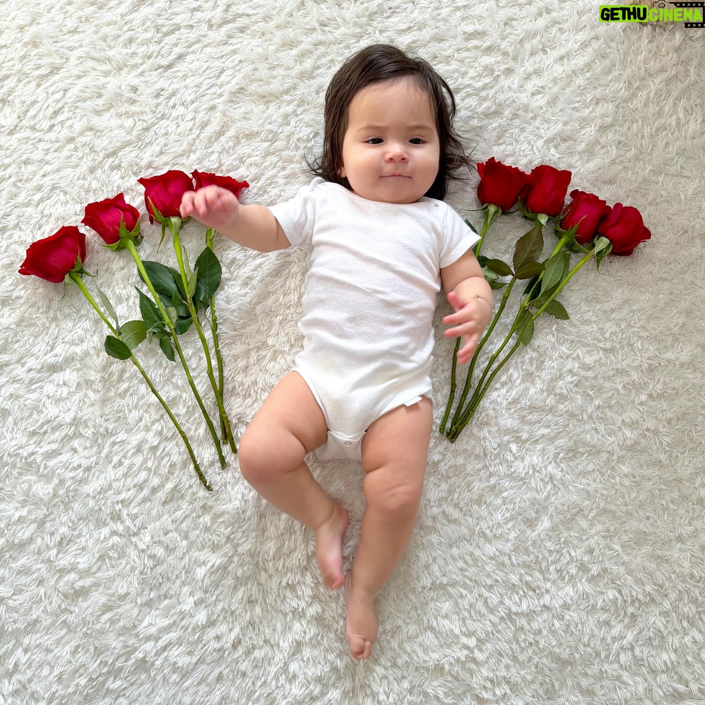 Anjelah Johnson-Reyes Instagram - Our most favorite valentine #rosieharlowreyes 1. You started crawling 2. You love giving besitos 3. I caught you standing in your crib the other day 🥹 4. You love your voice (at the highest volume) 5. Your new favorite song is @marcanthony “Vivir Mi Vida” 6. You love bell pepper 7. You learned you only like the car for 20 minutes max 8. You get as hype as Hulk Hogan for so many things and we love it (see last slide)