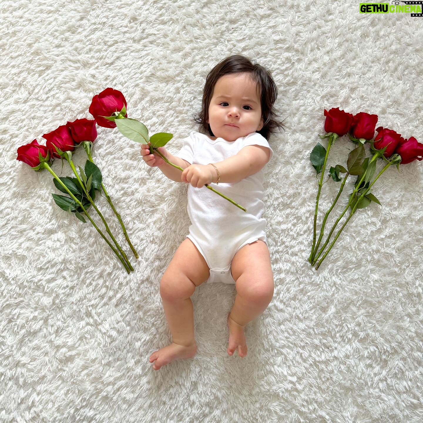 Anjelah Johnson-Reyes Instagram - Our most favorite valentine #rosieharlowreyes 1. You started crawling 2. You love giving besitos 3. I caught you standing in your crib the other day 🥹 4. You love your voice (at the highest volume) 5. Your new favorite song is @marcanthony “Vivir Mi Vida” 6. You love bell pepper 7. You learned you only like the car for 20 minutes max 8. You get as hype as Hulk Hogan for so many things and we love it (see last slide)