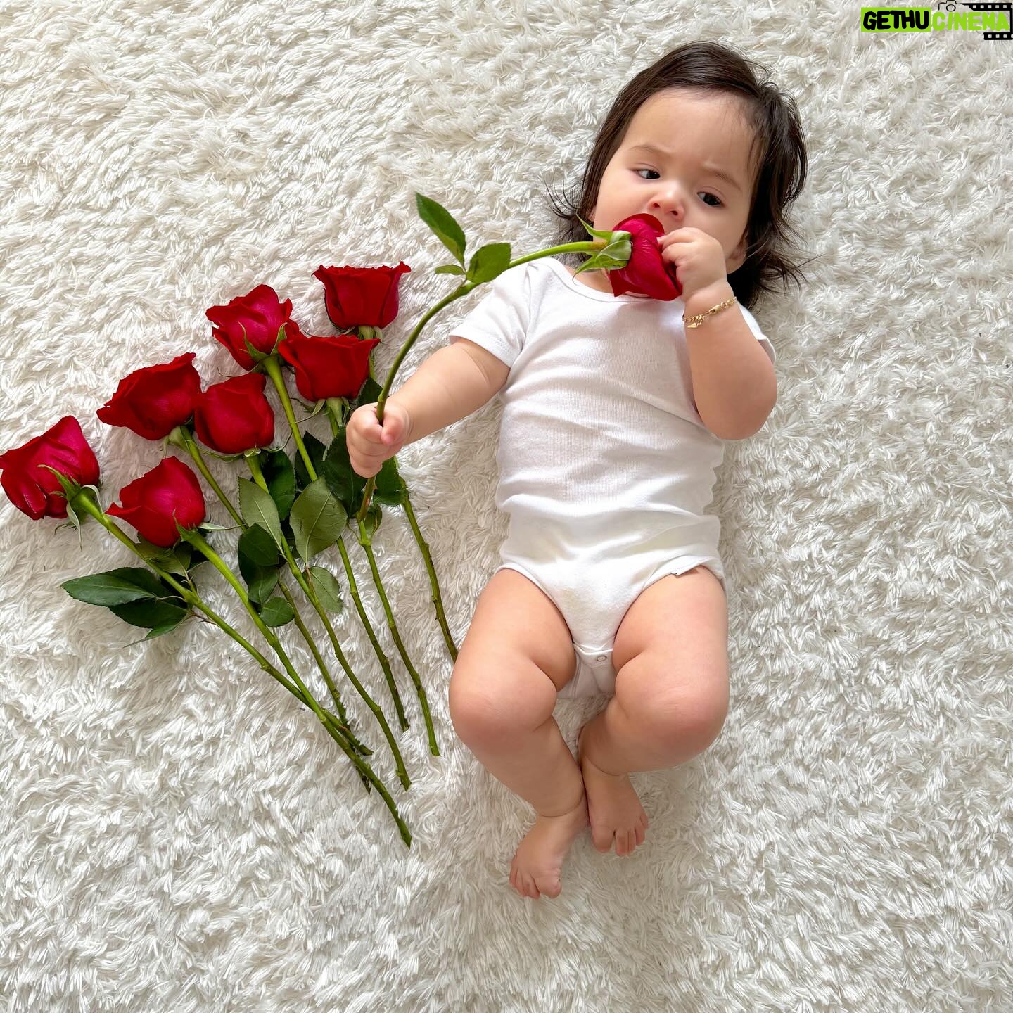 Anjelah Johnson-Reyes Instagram - Our most favorite valentine #rosieharlowreyes 1. You started crawling 2. You love giving besitos 3. I caught you standing in your crib the other day 🥹 4. You love your voice (at the highest volume) 5. Your new favorite song is @marcanthony “Vivir Mi Vida” 6. You love bell pepper 7. You learned you only like the car for 20 minutes max 8. You get as hype as Hulk Hogan for so many things and we love it (see last slide)