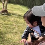 Anjelah Johnson-Reyes Instagram - A little weekend dump. (Can we call this something else? What other names can we call a weekend dump post?) We had a great weekend with friends visiting and Rosie’s first Zoo experience. ❤️ #rosieharlowreyes