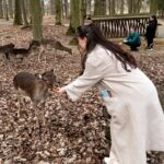 Anna Šulcová Instagram - Máme to tu krásný 🇨🇿 Zámek Blatná, který je cca hoďku a čtvrt od Prahy je must visit místem! Vstup do areálu parku stojí 50Kč, můžete tam potkat spoustu daňků a třeba je i nakrmit, pokud chtějí! Mají rádi mrkve a jablíčka! 🥕🍎 Byl to moc hezký výlet! Jen už by se mohlo trochu oteplit! Odpočítávám dny a hodiny do léta ☀️ PS: Tenhle výlet byl součástí mého narozeninového dárku a už zítra vyjde vlog z mých narozenin na mém youtube😚