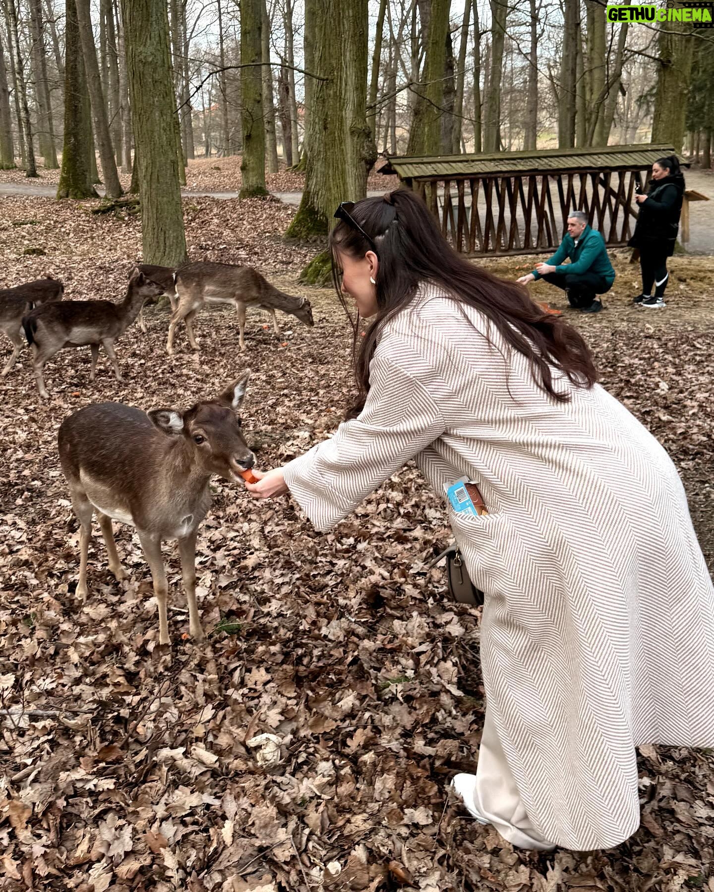 Anna Šulcová Instagram - Máme to tu krásný 🇨🇿 Zámek Blatná, který je cca hoďku a čtvrt od Prahy je must visit místem! Vstup do areálu parku stojí 50Kč, můžete tam potkat spoustu daňků a třeba je i nakrmit, pokud chtějí! Mají rádi mrkve a jablíčka! 🥕🍎 Byl to moc hezký výlet! Jen už by se mohlo trochu oteplit! Odpočítávám dny a hodiny do léta ☀️ PS: Tenhle výlet byl součástí mého narozeninového dárku a už zítra vyjde vlog z mých narozenin na mém youtube😚
