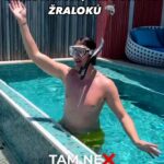 Anna Šulcová Instagram - Vlezli byste tam?😅🦈
