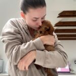 Anna Šulcová Instagram - Už skoro měsíc jsem před vámi něco tajila… Tohle je Theo ♥️🐶 Netušila jsem, kolik lásky a štěstí může tak malý tvoreček do života přinést! Vždy jsem pejsky milovala, ale nevěděla jsem, jaký je pocit starat se o vlastního od úplného dětství! Je to něco nepopsatelného, ale věřím, že mě pejkaři moc dobře chápou! Jsem šťastná, že můžu být psí mamka a věř mi, Teoušku, že tě budu milovat celým svým srdcem a starat se o tebe jak nejlíp budu moct♥️