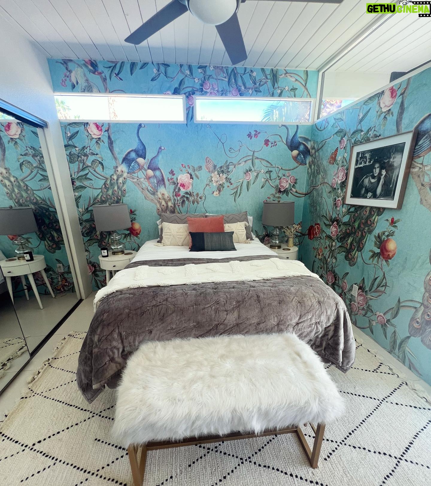 Anna Camp Instagram - When you find the wallpaper of your dreams and it’s finally up! 🦋Thankyou @the_rustic_home 🦋