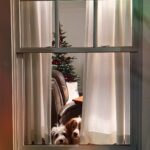 Anna Camp Instagram - May your days be fluffy and bright🎄 @silkybeats 🥁