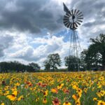 Anna Camp Instagram - We stopped cause it was too pretty in Texas 🌼🌼🌼