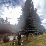 Anna Camp Instagram - Big Love for Big Sky 💗⛅️