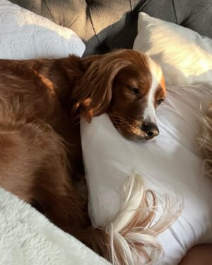 Anna Camp Instagram - I ♥️ Hank
