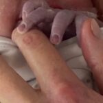Anna Simon Instagram - ♥️29 de abril de 2022♥️ Estas fotos (menos la última) son de aquel día, sin ningún tipo de duda, el mejor de todos los que he vivido. En las cinco primeras, embarazadísima de 40 semanas y después ya en el hospital, a punto de conocer el amor más animal que he sentido. La séptima foto se hizo en el momento más mágico, especial y salvaje de mi vida. Un momento al que mi mente ha vuelto infinidad de veces a lo largo de este año, cuando pusieron a mi hija encima de mí, piel con piel, mojada, resbaladiza, tan nueva, tan perfecta. He vuelto a aquel paritorio intentando recordar cada detalle, la luz, el sonido, su llanto, su respiración, el tacto de su mano en la mía, su olor… La última foto es de hoy. Su primera vuelta al sol. Y yo con un nudo en la garganta y en un mar de sentimientos encontrados. Inmensamente feliz por verla crecer sana y fuerte y por poder disfrutar de ella cada minuto. Triste porque esto va demasiado deprisa. Mi bebé está empezando a dejar de ser un bebé y, aunque para mí lo será siempre, a veces me gustaría poder parar el tiempo. Un año de piel con piel, de teta y de porteo, siempre bien pegaditas. También un año de muchas dudas, de lágrimas, de preguntas, de paciencia al límite y de cansancio extremo. Un año de felicidad elevada a su máxima expresión y de un amor tan grande que jamás pude imaginar que existiera. Un año de primeras veces, primeras sonrisas, primeras carcajadas, primeros dientes, primer gateo, primeros pasos, primeras palabras. El mejor año de mi vida, el más agotador, sí, pero el más increíble. Lo único que quiero en la vida es estar siempre a su lado, viéndola crecer feliz y sana, dándole la mano siempre que me necesite. Feliç primer any i feliç vida, amor meu. El teu somriure de quatre dents (gairebé cinc) és el que més feliç em fa al món. T’estimo, Aina. ♥️