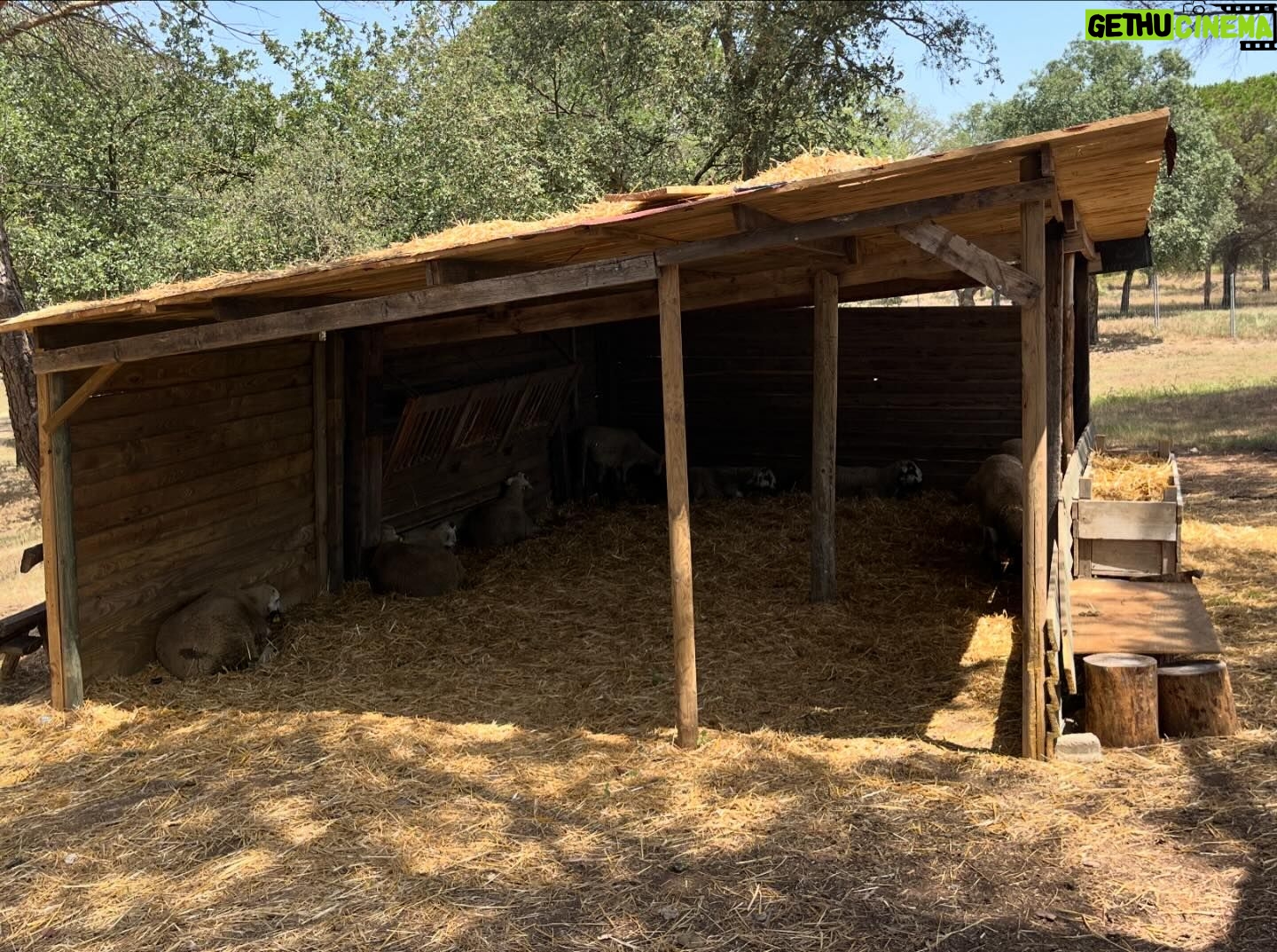 Anna Simon Instagram - Avui a les 22:05, segon capítol d’El Tros a TV3 🚜🥕🐑 Si no podeu esperar, ja teniu tota la temporada disponible a la plataforma 3cat 🧑🌾👩🌾 Què passarà avui??? 🤭 @som3cat #ElTros3Cat Hoy a las 22:05, segundo capítulo de El Tros en TV3 🚜🥕🐑 Si no podéis esperar, ya tenéis toda la temporada disponible en la plataforma 3cat 👩🌾🧑🌾 ¿¿¿Qué pasará hoy??? 🤭