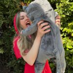 Anna Simon Instagram - Y caperucita se comió al lobo (a besos)… ♥️♥️♥️ Feliz carnaval! #carnaval #carnaval2023
