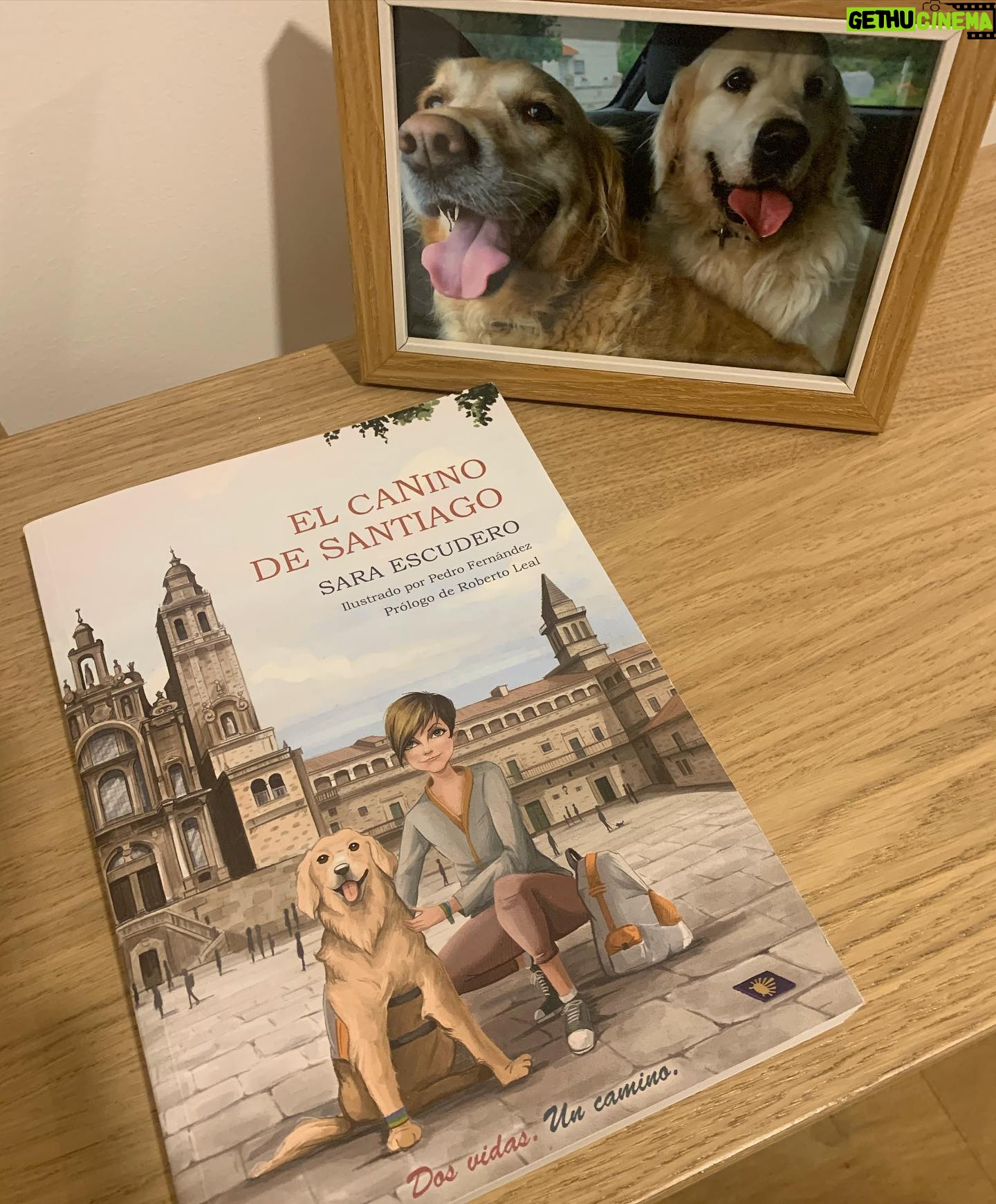 Anna Simon Instagram - Este es uno de esos regalos que hace especial ilusión recibir. Gracias @saraescu1981 por tu generosidad al compartir un trocito de tu historia con Nala en #ElCaninoDeSantiago Cuando dos seres como vosotras se encuentran solo pueden pasar cosas maravillosas. ♥️