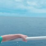 AnnaSophia Robb Instagram – Alter ego 🌺🌴🐋