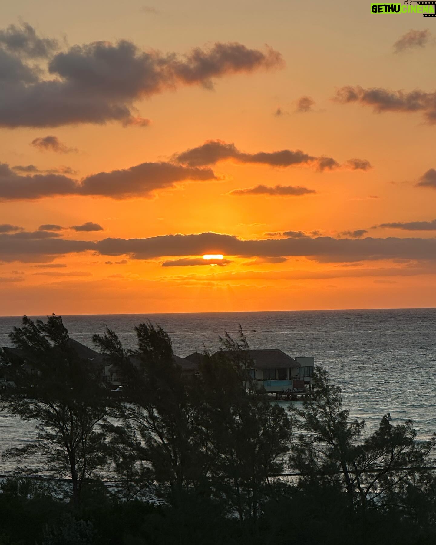 Anna Todd Instagram - 🤿⛵️🌿🌊 an apology from my future self for at least two more vacation posts 🏝️ happy fridayyyy! im on my way home and missing the jungle and Caribbean Sea already, my week flew by insanely fast. and its still my bday month! anyone else excited for the new #queenoftears episodes this weekend? i am behind because of traveling but can’t wait to catch up! what are you watching? how are you feeling? are you tired? are you taking care of yourself and being kind to yourself? (or at least trying to) tell me all the things ☀️