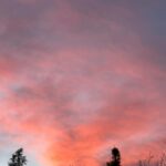 Anna Todd Instagram - ☀️🌴☁️ happy mondayyy from a foggy cold LA how was your weekend? mine flew by, idk how it’s monday already. ash has been doing sooo well in his social group and even remembered one of the kids names 🥹 he also got into a special needs summer camp (not overnight bc heck no lol) but i’m excited for him 🥹 i have been clearing out photos, i had almost 80k and now im down to 66k lol. but i kept seeing his baby and toddler photos and all my signings and traveling and meeting yall 🥹 i’m sooo glad i take so many photos of everything, its incredible to watch how much life has changed through my camera roll 🥹 how many photos does your album have? am i the only one who had over eighty thousand lolol? what are you up to this week? are you watching #queenoftears yet?? if not, you MUST tell me all the things 🫶🏼☁️