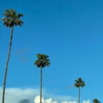 Anna Todd Instagram - ☀️🌴☁️ happy mondayyy from a foggy cold LA how was your weekend? mine flew by, idk how it’s monday already. ash has been doing sooo well in his social group and even remembered one of the kids names 🥹 he also got into a special needs summer camp (not overnight bc heck no lol) but i’m excited for him 🥹 i have been clearing out photos, i had almost 80k and now im down to 66k lol. but i kept seeing his baby and toddler photos and all my signings and traveling and meeting yall 🥹 i’m sooo glad i take so many photos of everything, its incredible to watch how much life has changed through my camera roll 🥹 how many photos does your album have? am i the only one who had over eighty thousand lolol? what are you up to this week? are you watching #queenoftears yet?? if not, you MUST tell me all the things 🫶🏼☁️