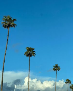 Anna Todd Instagram - ☀️🌴☁️

happy mondayyy from a foggy cold LA 

how was your weekend? mine flew by, idk how it’s monday already. ash has been doing sooo well in his social group and even remembered one of the kids names 🥹 he also got into a special needs summer camp (not overnight bc heck no lol) but i’m excited for him 🥹 

i have been clearing out photos, i had almost 80k and now im down to 66k lol. but i kept seeing his baby and toddler photos and all my signings and traveling and meeting yall 🥹 i’m sooo glad i take so many photos of everything, its incredible to watch how much life has changed through my camera roll 🥹 

how many photos does your album have? am i the only one who had over eighty thousand lolol? what are you up to this week? are you watching #queenoftears yet?? if not, you MUST 

tell me all the things 🫶🏼☁️
