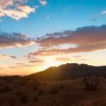 Annabelle Wallis Instagram – The desert 🤍