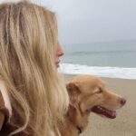 Annabelle Wallis Instagram – Happy Sunday 💗