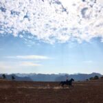 Annabelle Wallis Instagram - My happiest place. Thanks cowboy Bill 🤠