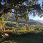 Annabelle Wallis Instagram - Escape #nofilter