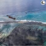 Annabelle Wallis Instagram - If you would like to support @mauritianwildlife as they tackle the devastating oil spill in Mauritius. You can find all the info on their website. Below is some useful information I took off the site for you. Photo taken from @guardian #saveouroceans this lovely woman @shaliniaa has started a crowd fund too. Check out her page. “If you would like to help financially and contribute to our Wakashio Fund you can donate online via our website https://www.mauritian-wildlife.org/donate mentioning ‘Wakashio’ You can also make a direct bank transfer to MWF Wakashio Fund Mauritian Wildlife Foundation Mauritius Commercial Bank, Port Louis, Mauritius Swift BIC : MCBLMUMU Account number : 000 010204792 IBAN : MU52MCBL0901000000204792000MUR