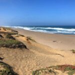 Annabelle Wallis Instagram – Road trip #California