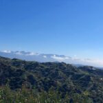 Annabelle Wallis Instagram – Very grateful to escape into these hills- on the permitted paths!!- at this time. Thanks Earth. #earthdayeveryday 🌎